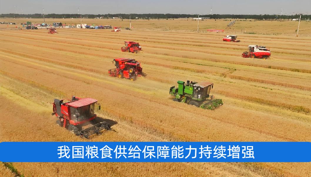 我国粮食供给保障能力持续增强