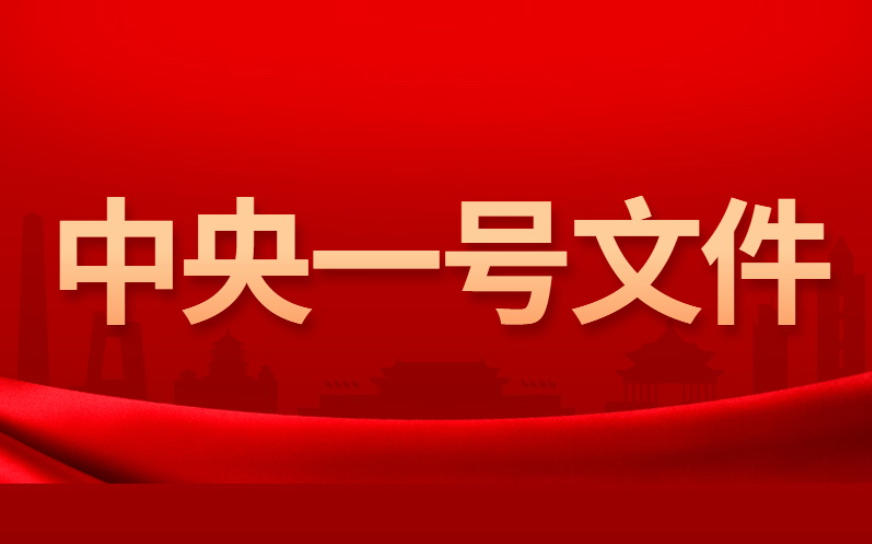 2026年中央一号文件发布 部署扎实推进乡村全面振兴