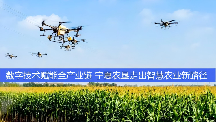 数字技术赋能全产业链 宁夏农垦走出智慧农业新路径
